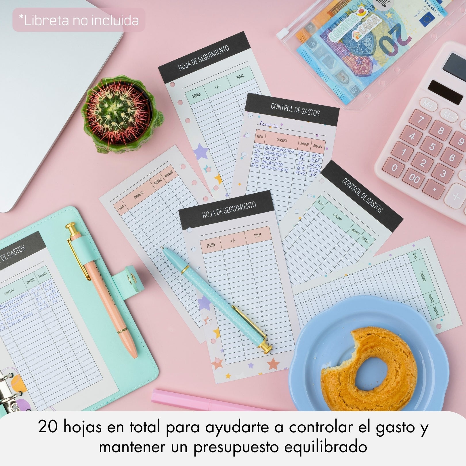 20 Hojas de Control de Gastos