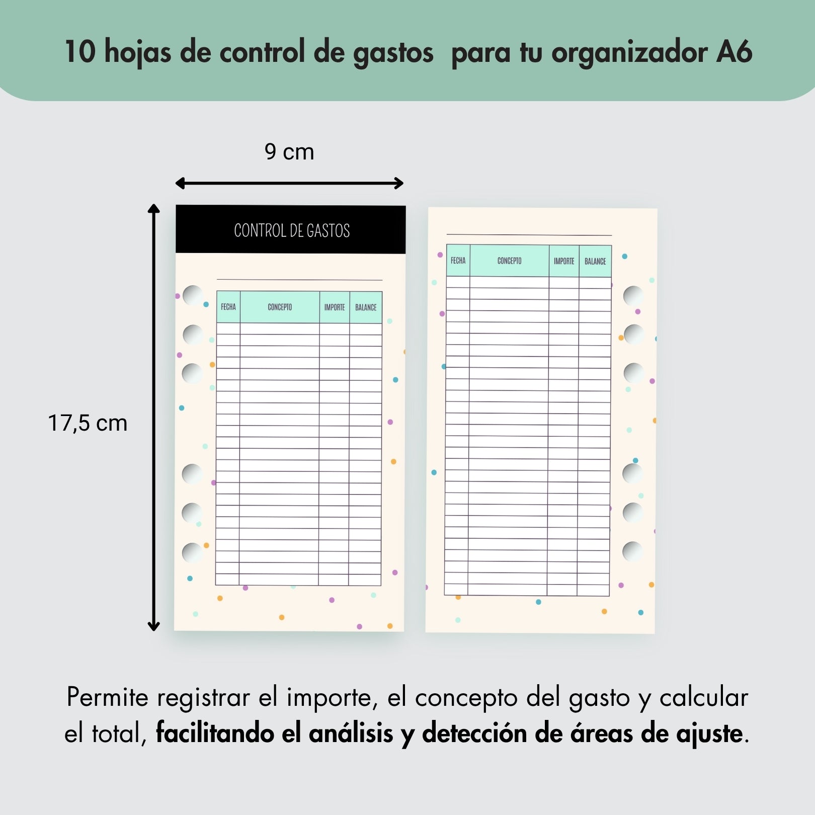 20 Hojas de Control de Gastos