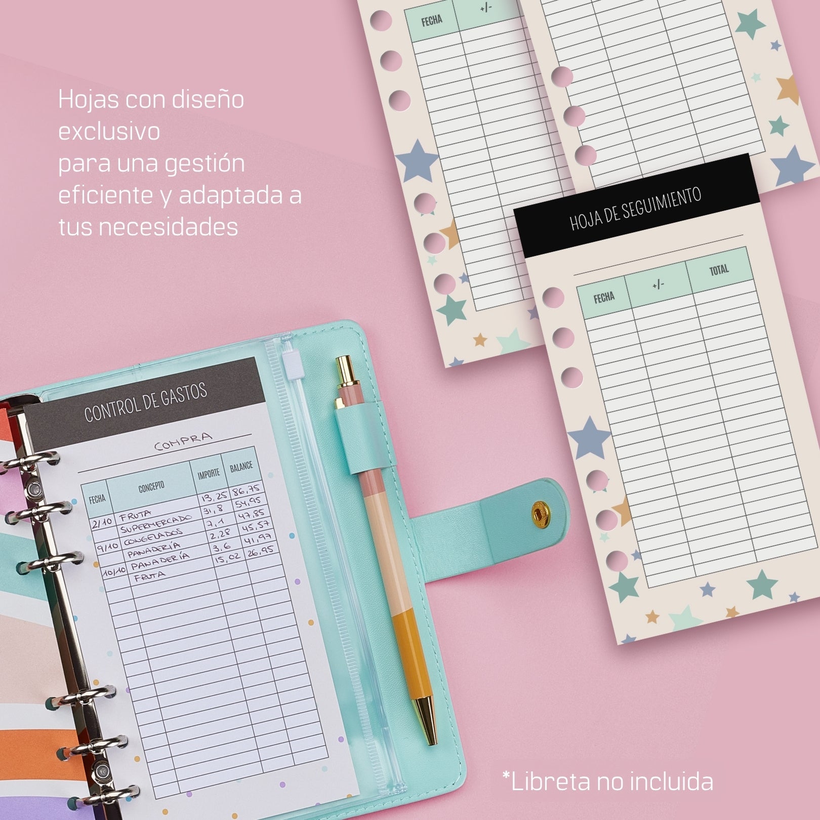 20 Hojas de Control de Gastos